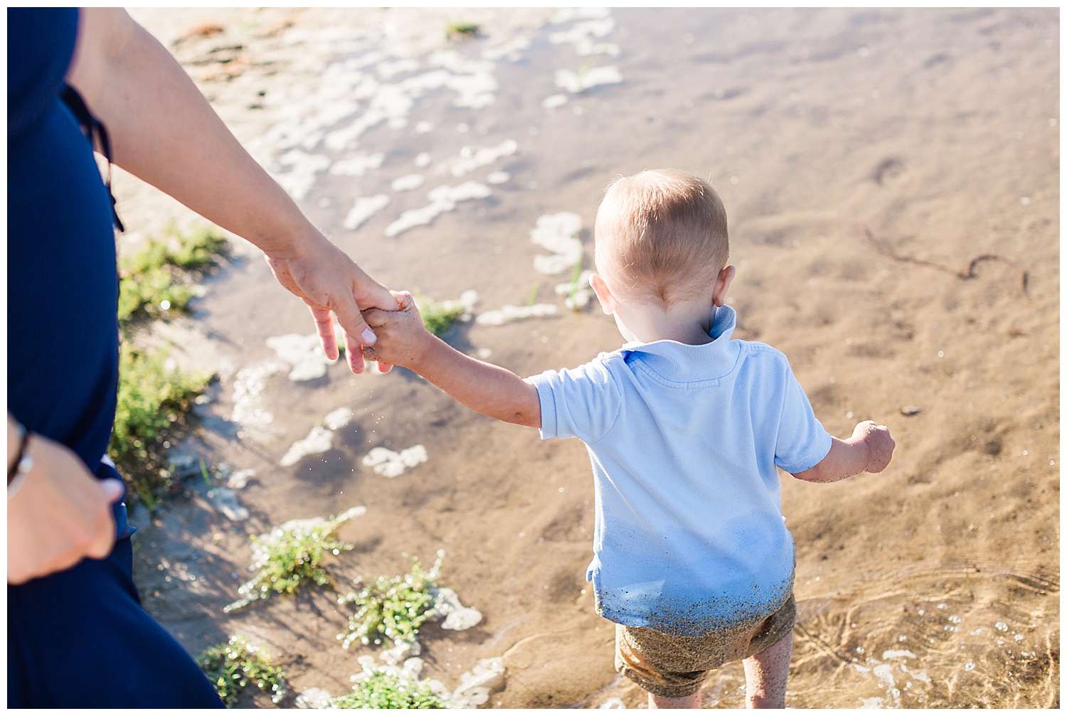 mom holding toddler's hand at water's edge in cape cod