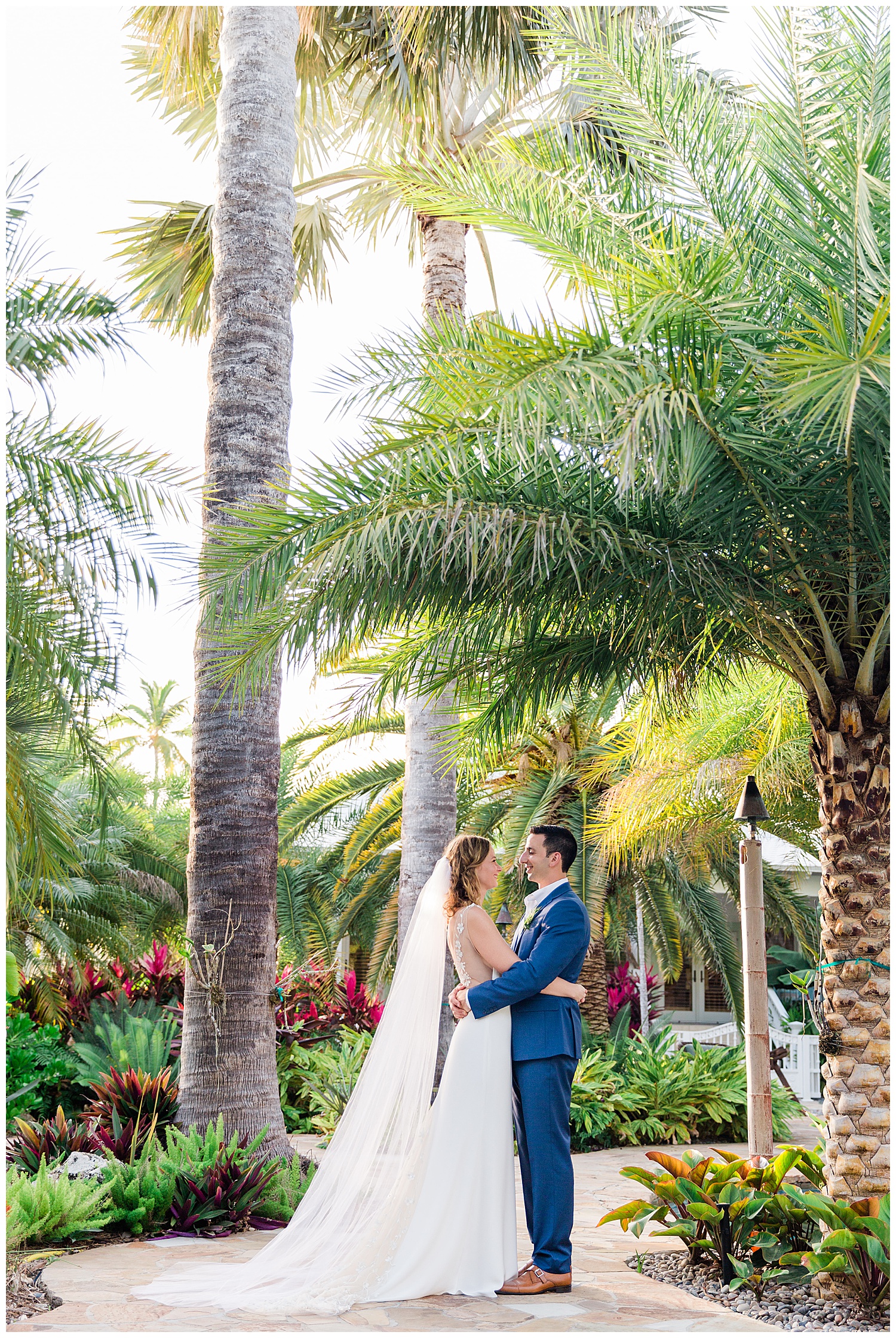 bride and groom hug surrounded by palm trees and tropical plants