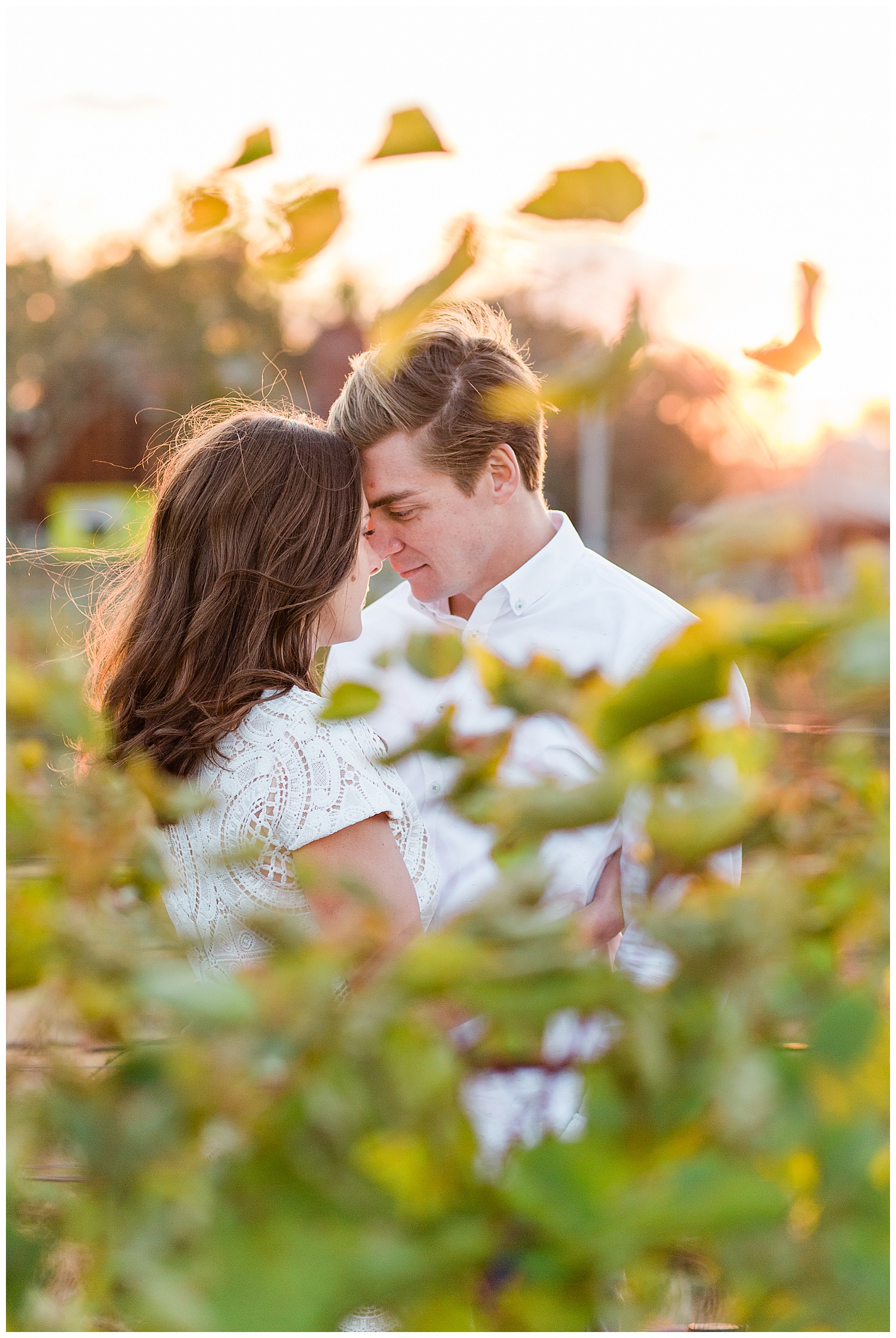 Couple are forehead to forehead through the vines at a winery